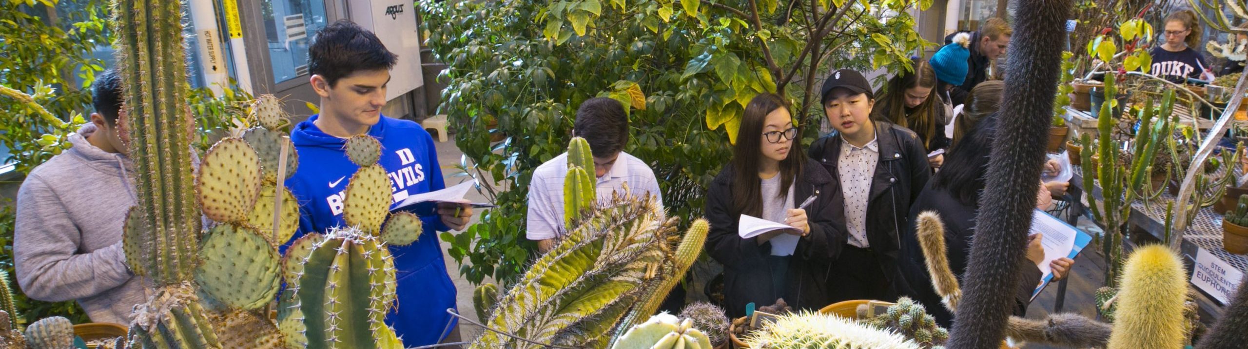 Students in a greenhouse surrounded by plants and cacti.